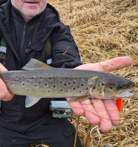 Wobblers Hunter 72 MD-S